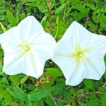 article image -